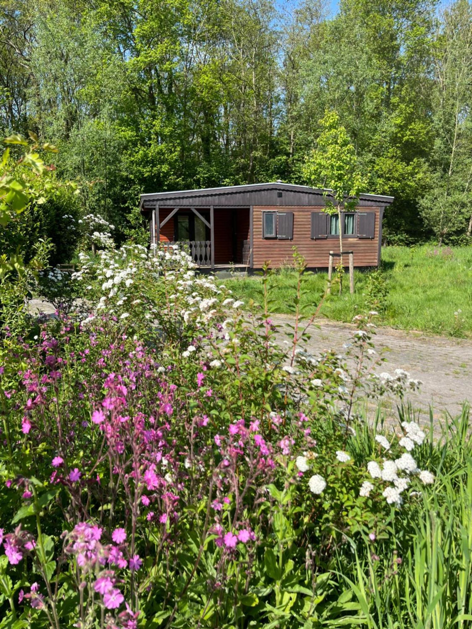 Hoeve Veganza B&B Vlagtwedde ภายนอก รูปภาพ