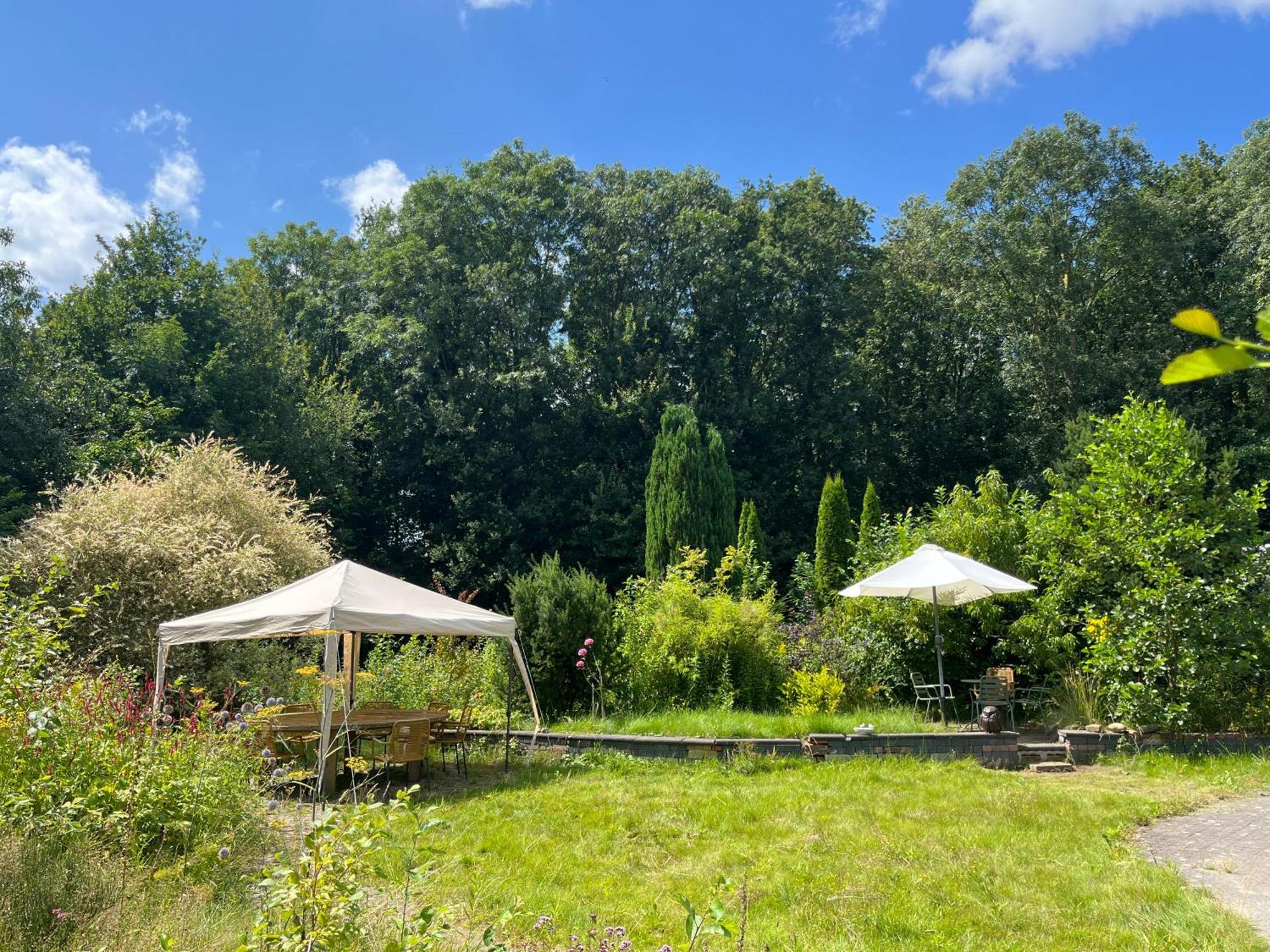 Hoeve Veganza B&B Vlagtwedde ภายนอก รูปภาพ