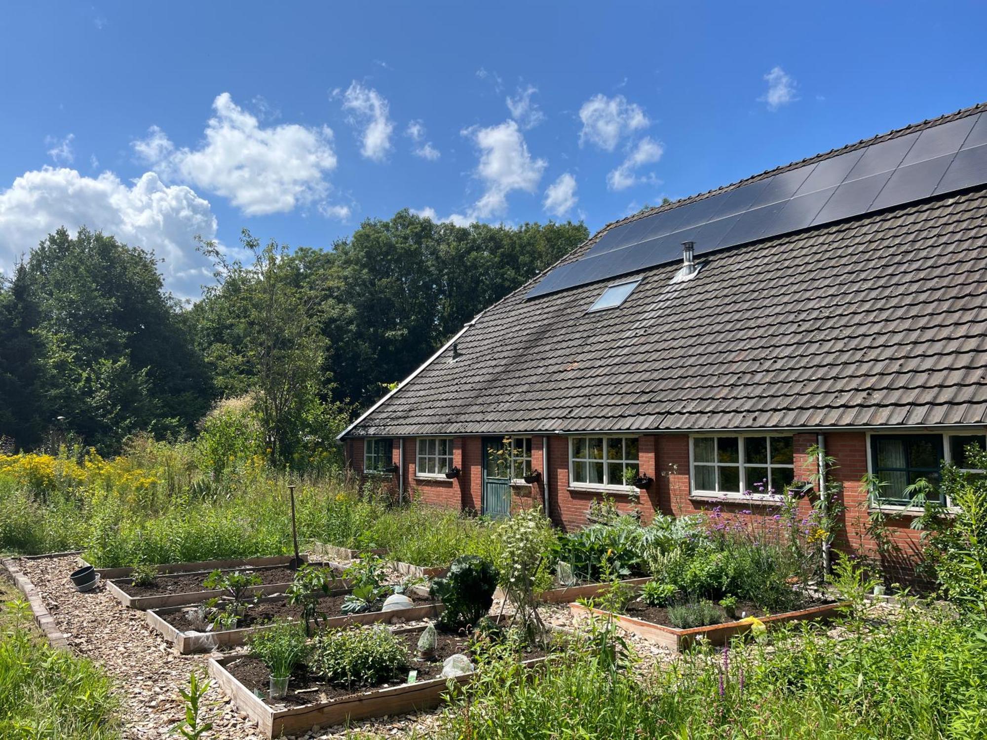 Hoeve Veganza B&B Vlagtwedde ภายนอก รูปภาพ