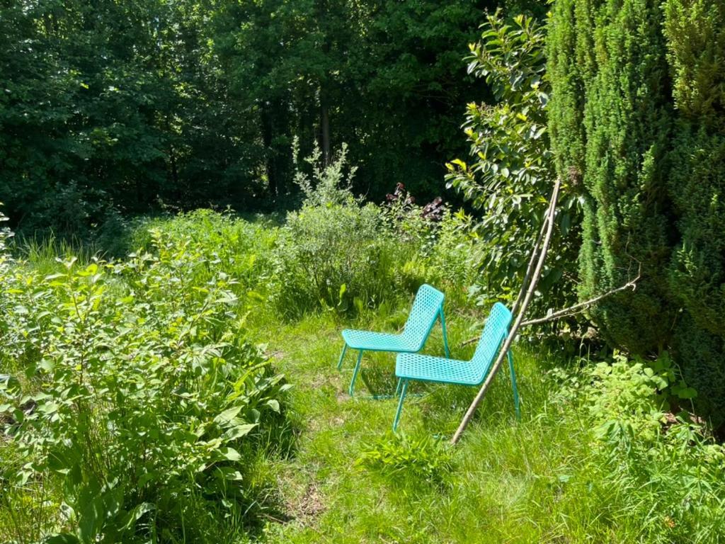 Hoeve Veganza B&B Vlagtwedde ภายนอก รูปภาพ