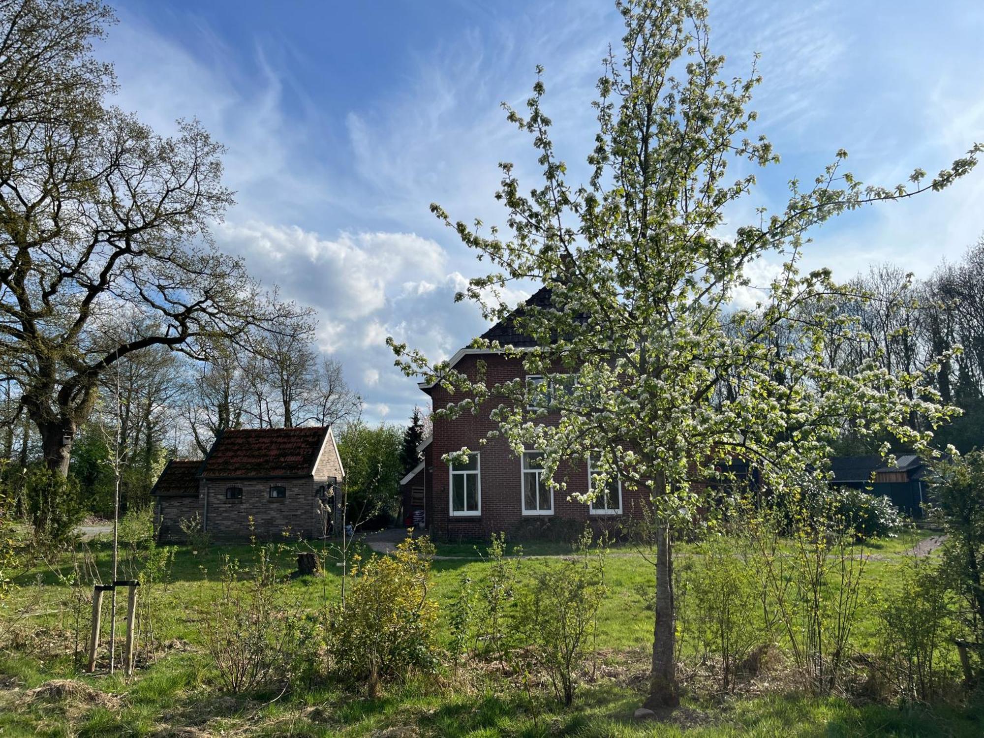Hoeve Veganza B&B Vlagtwedde ภายนอก รูปภาพ